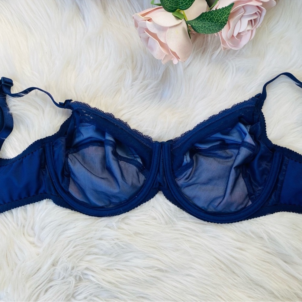 NWOT ANTINÉA BY LISE CHARMEL Luxury Blue Floral Cherry Lace Bra 34DD - Picture 3 of 7